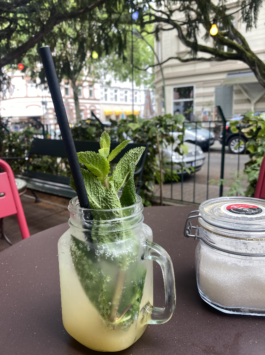 Hausgemachte Limonade mit frischen Minzblättern 