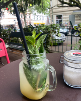 Hausgemachte Limonade mit frischen Minzblättern 