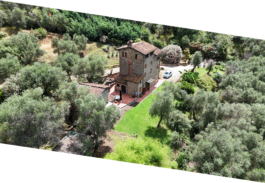 Das Landgut Aqua Kiara mit Obst- und Olivenbäumen